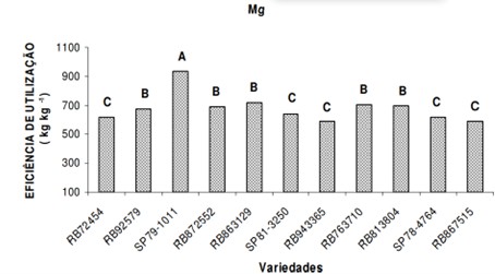 Eficiência De Utilização De Magnésio De Diferentes Variedades De Cana