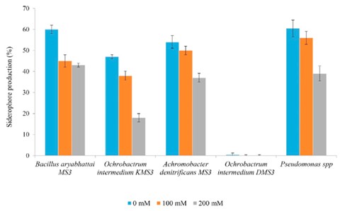 Produção De Sideróforos Por Diferentes Espécies De Microrganismos Promotores De Crescimento, Incluindo Do Bacillus Aryabhattai, Sob Diferentes Concentrações Salinas Do Meio. 