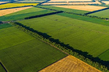 Qual A Diferença Entre Sulfato De Potássio E Nitrato De Potássio? - Qual A Diferenca Entre Sulfato De Potassio E Nitrato De Potassio