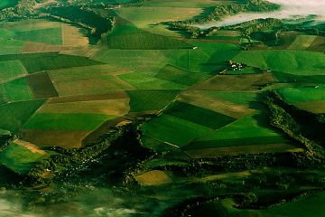 Agrônomo Fala Sobre O K Forte® E A Inovadora Tecnologia Bio Revolution Desenvolvida Pela Verde Agritech