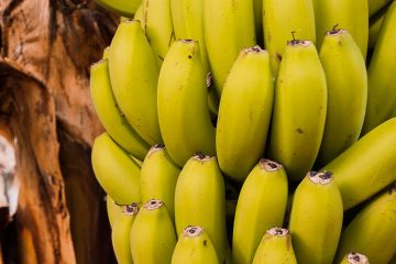 Manganês Na Banana: Descubra A Importância E Como Fazer O Manejo