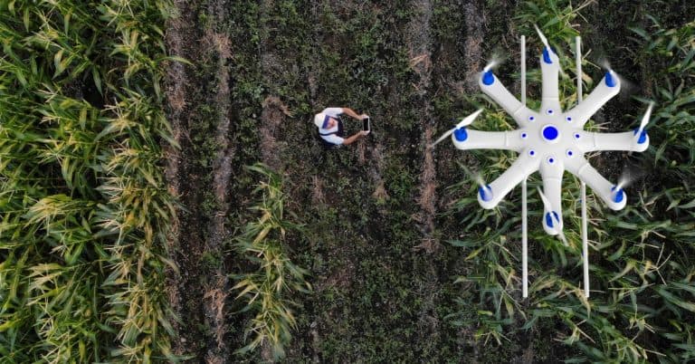 O Uso De Drones Como Aliado No Controle Biológico Nas Lavouras