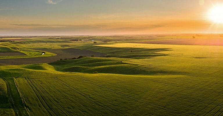 Boro: Entenda Mais Sobre Esse Nutriente E Seus Benefícios Para Agricultura