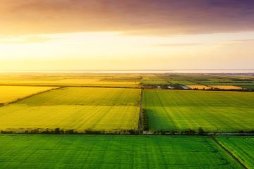 Conheça 5 Das Principais Fontes De Boro Para Agricultura