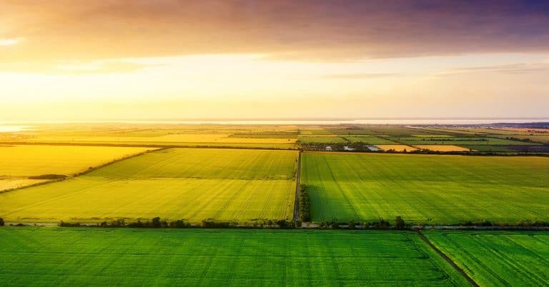 Conheça 5 Das Principais Fontes De Boro Para Agricultura