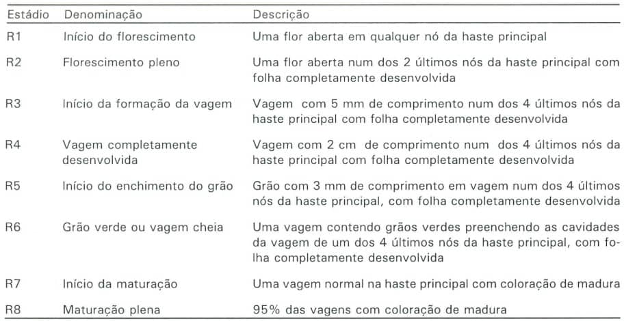 Os Diferentes Estádios Da Fase Reprodutiva Da Soja