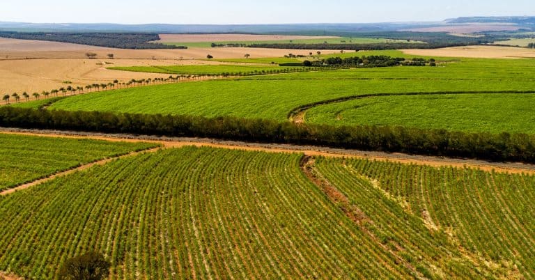 Lei Do Mínimo: O Que É E Como Ela Influencia A Produtividade Das Lavouras? - Lei Do Minimo O Que E E Como Ela Influencia A Produtividade Das Lavouras