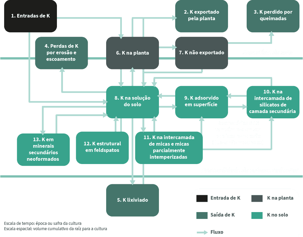 Uma Visão Ampliada Do Ciclo Do Potássio