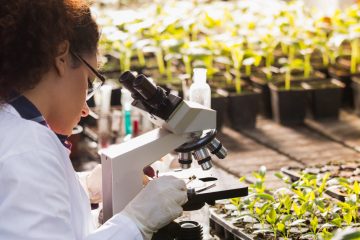 As Nanopartículas Do Solo: Entenda O Que São E Como Elas Interferem Na Aptidão Agrícola Natural Do Solo