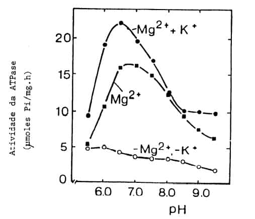 Atividade De Atpase De Fração De Membrana De Raízes De Milho, Influenciada Pelo Ph, Potássio E Magnésio (Fontes: Leonard &Amp; Hotchriss Apud Marchner, 1986)