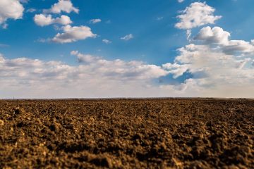 Como Os Microrganismos Podem Ser Uma Solução Sustentável Para A Redução De Metais Pesados No Solo?