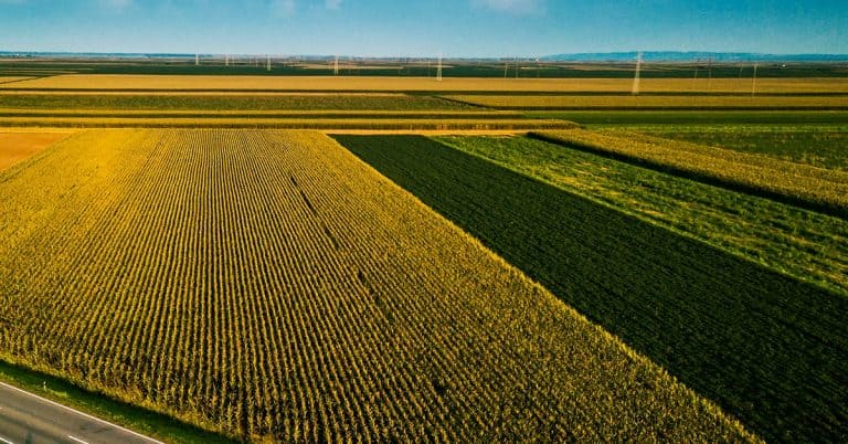 Técnico Em Agropecuária De Balsas – Ma Fala Dos Benefícios Do Uso Do K Forte® Em Programas De Manejo Biológico