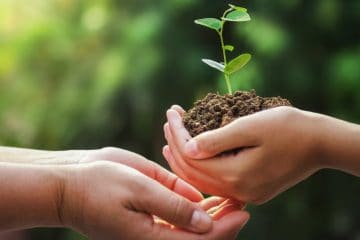 O Que É Esg Na Agricultura?