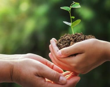 O Que É Esg Na Agricultura?