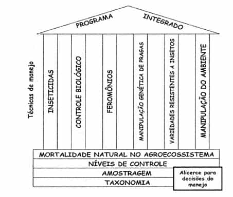 Bases E Pilares De Um Programa De Manejo Integrado De Pragas