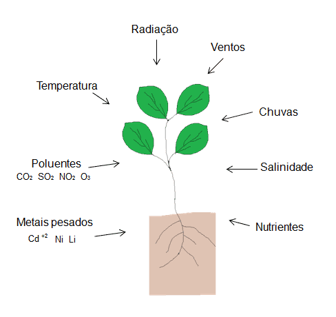 Esquema Da Incidência De Alguns Dos Principais Agentes De Estresses Abióticos Em Plantas