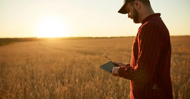 Agricultura Digital. Entenda Suas Tecnologias E Benefícios