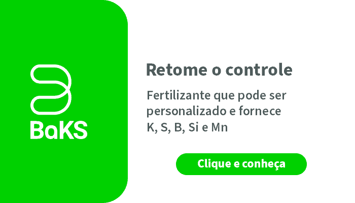 Por Que Você Deve Fazer A Adubação Com Fósforo Na Banana? - Banner Potassio Baks