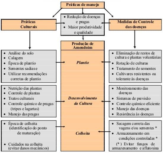 Diferentes Práticas Do Manejo Integrado De Doenças Da Cultura Do Amendoim, Que Pode Ser Aplicado Para Grande Parte Das Culturas Agrícolas