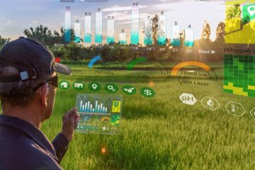 O Que São A Agricultura De Precisão E A Agricultura Digital?