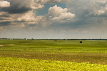 Qual A Importância De Utilizar Adubo Na Agricultura?