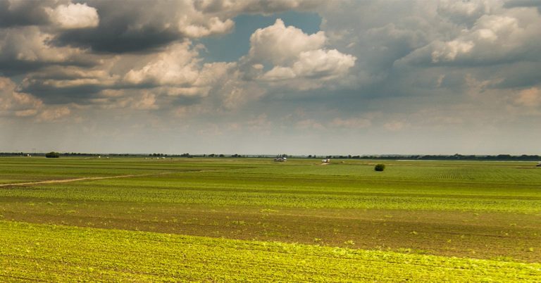 Qual A Importância De Utilizar Adubo Na Agricultura?