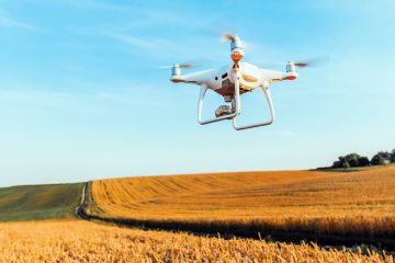 Transformação Digital No Campo. O Caminho Para Uma Agricultura Mais Sustentável E Inteligente