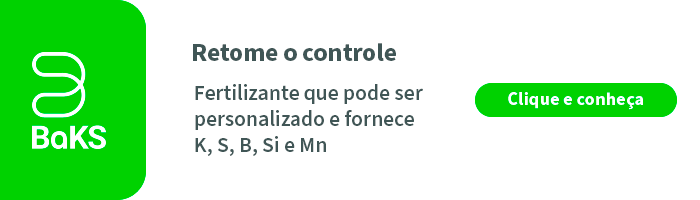 Por Que Você Deve Fazer A Adubação Com Fósforo Na Banana? - Banner Blog Baks Desktop