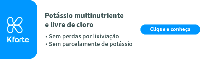 Por Que É Importante Investir Na Agricultura De Baixo Carbono? - Banner Blog Kforte Desktop