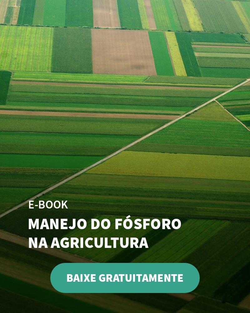 Por Que Você Deve Fazer A Adubação Com Fósforo Na Banana? - Banner Ebook Blog 2