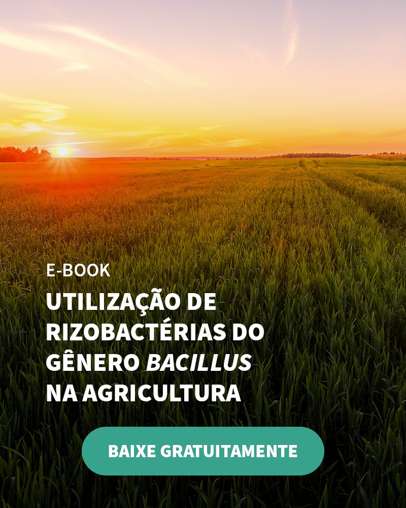 Conheça Quais São Os Principais Programas De Financiamento Do Plano Safra - Banner Ebook Blog 4