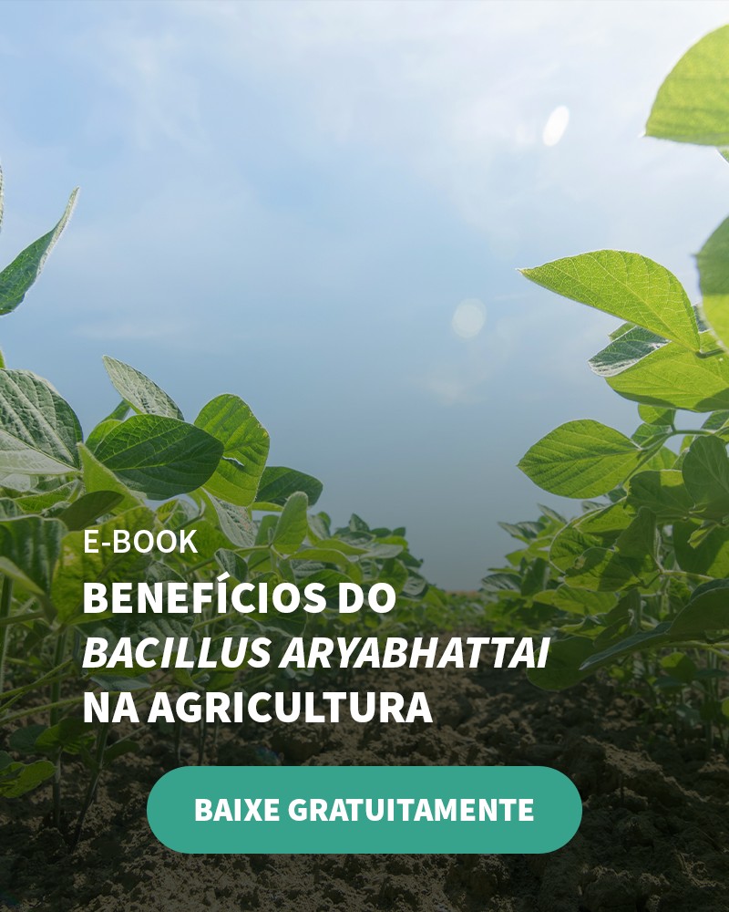 Estudo Mostra Como Microrganismos Benéficos, Como O Bacillus Aryabhattai, Ajudam A Melhorar O Manejo - Banner Ebook Blog 5