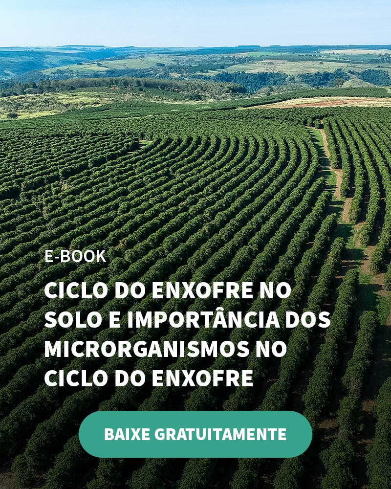 A Verde Agritech Alia Tecnologia E Inovação Para Desenvolver Fertilizantes De Qualidade - Banner Ebook Blog 6