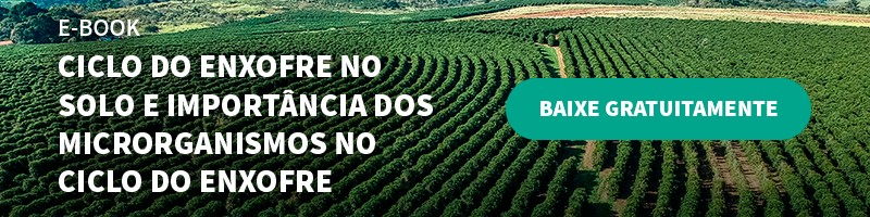 A Verde Agritech Alia Tecnologia E Inovação Para Desenvolver Fertilizantes De Qualidade - Banner Ebook Blog 6 Desktop