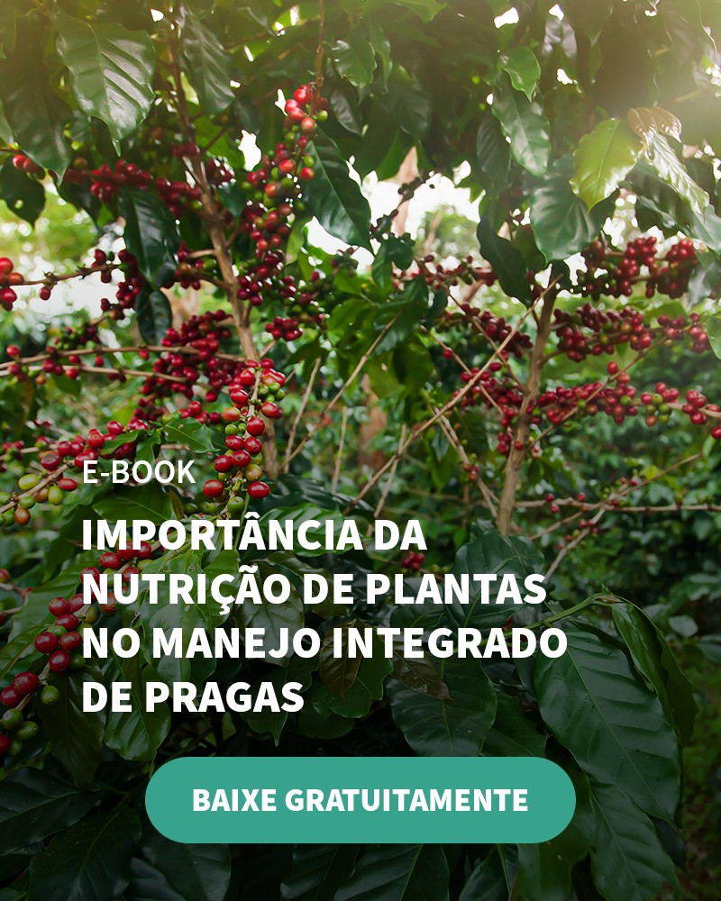 Notícias Agrícolas: Ciclone Extratropical Se Aproxima E Deve Causar Mudanças No Clima A Partir Do Final De Semana - Banner Ebook Blog 7