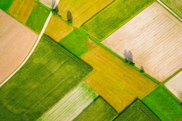 Conheça O Baks®: O Fertilizante Com O Ponto De Enxofre Mais Econômico Do Brasil