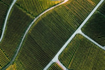 Fertilizantes Com Manganês Na Agricultura Entenda A Importância