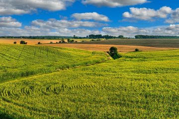 Garantia Estendida. Se Proteja De Um Dos Maiores Riscos Da Atividade Agrícola!