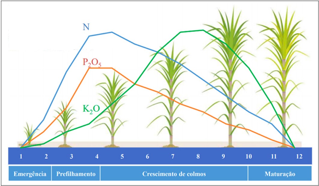 Necessidades Nutricionais Da Cana