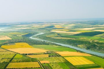 Noticias Agrícolas. Valor Bruto Da Produção Agropecuária Em Minas Gerais Deve Alcançar R$ 132,1 Bilhões