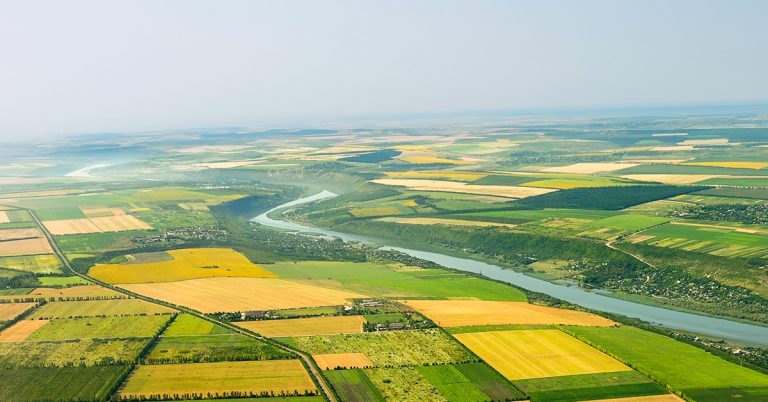 Noticias Agrícolas. Valor Bruto Da Produção Agropecuária Em Minas Gerais Deve Alcançar R$ 132,1 Bilhões