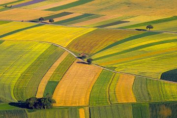 O Que É O Sinergismo De Nutrientes E Como Ele Beneficia O Manejo Agrícola