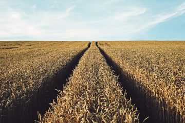 Qual A Importância Do Cobre Na Agricultura?