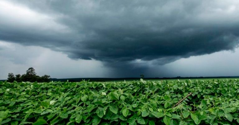 Chuvas Intensas Espalhadas Pelo Brasil Colocam Estados Produtores Agrícolas Em Alerta