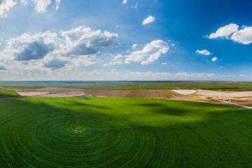 Faixa De Suficiência Na Agricultura: Entenda O Que É E Como Nutrir As Plantas Adequadamente - Faixa De Suficiencia Na Agricultura. Entenda O Que E E Como Nutrir As Plantas Adequadamente