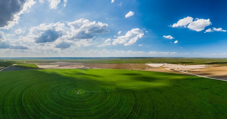 Faixa De Suficiência Na Agricultura: Entenda O Que É E Como Nutrir As Plantas Adequadamente - Faixa De Suficiencia Na Agricultura. Entenda O Que E E Como Nutrir As Plantas Adequadamente