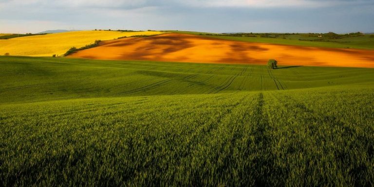 Projeção De Crescimento De 11,6% Do Pib Agropecuário Do Brasil, Apontada Pelo Ipea É Destaque Nas Notícias Agrícolas