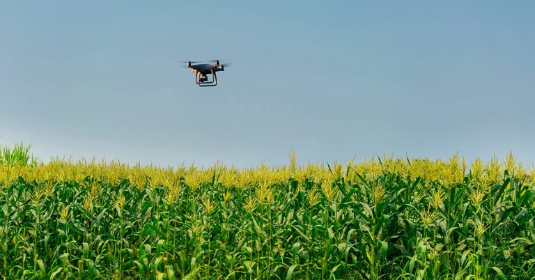 Tecnologia Na Agricultura: Entenda Como O Uso De Drones Pode Ser Vantajoso