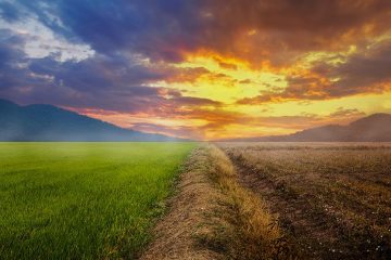 Veja Evitar Que As Variações Do Clima Afetem A Produtividade Da Lavoura