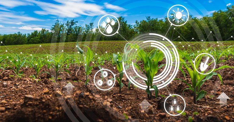 Big Data: Entenda Como Essa Tecnologia Tem Mudado Os Rumos Da Agricultura